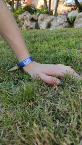 Pulsera No tengáis miedo