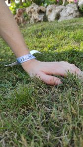 Pulsera Efettá "Ábrete"